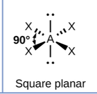 <p>octahedral, square planar</p>