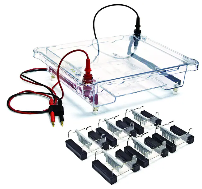 <p>Used to separate molecules based on size, charge, and other properties.</p>
