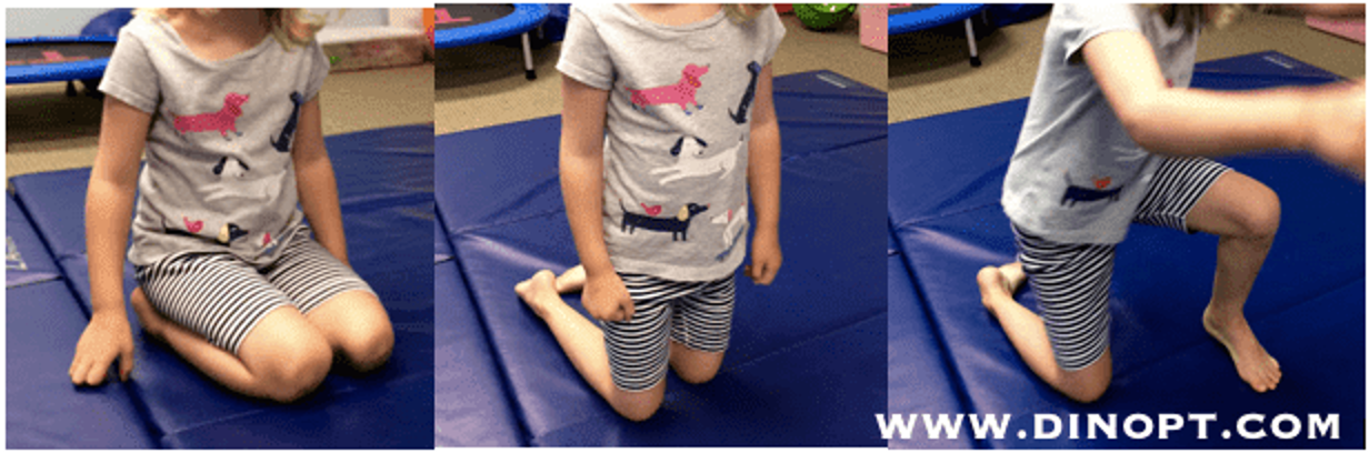 <p>Prone to Sit</p><p>Sit to 4 point</p><p>4 point to Tall Kneel</p><p>Tall kneel to stand</p><p></p>