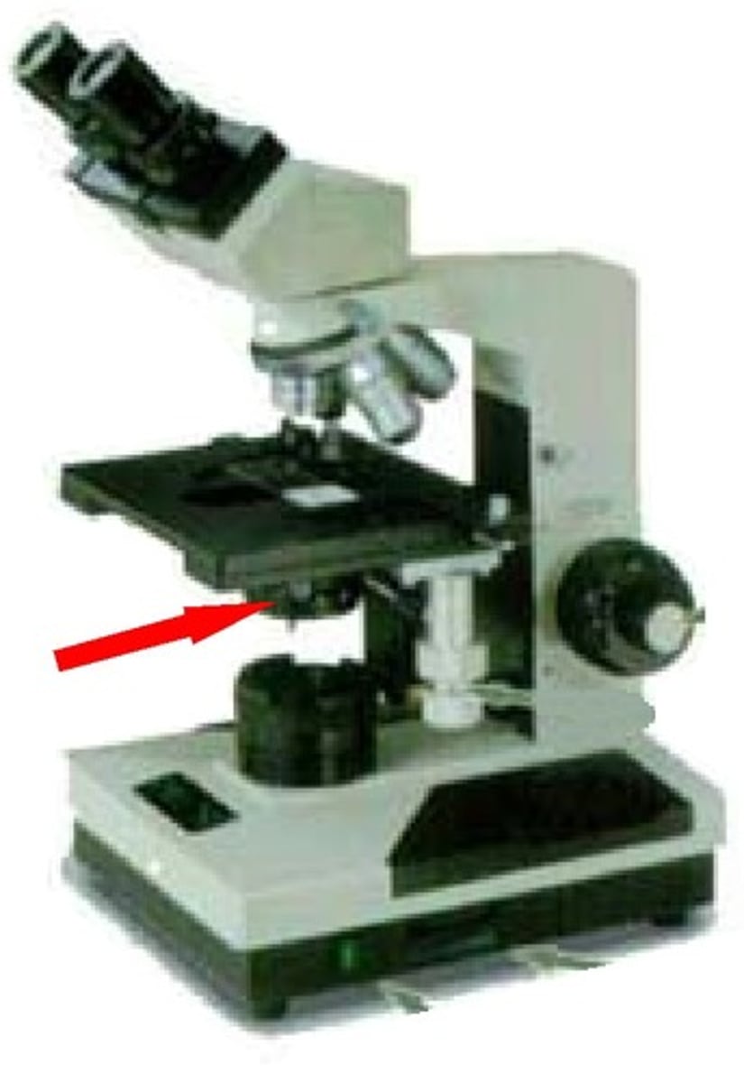 <p>(lens located below the stage)</p><p>(gathers and directs light from the light source through the specimen)</p>