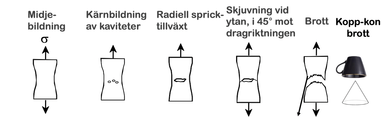 <p>Kopp-konbrott är delvis duktitlsbrott, delvis plastisk deformation, viss halsbildning innan skjuvbrott. Man får duktilt brott i mitten sprött i kanterna. <br>Processen:<br>1. midjebildning</p><ol start="2"><li><p>kärnbildning av kaviteter</p></li><li><p>radiell spricktillväxt</p></li><li><p>skjutning vid ytan i 45 grader mot dragriktning</p></li><li><p>brott</p></li></ol><p></p>