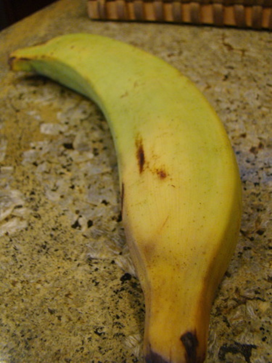 <p>plantain</p>