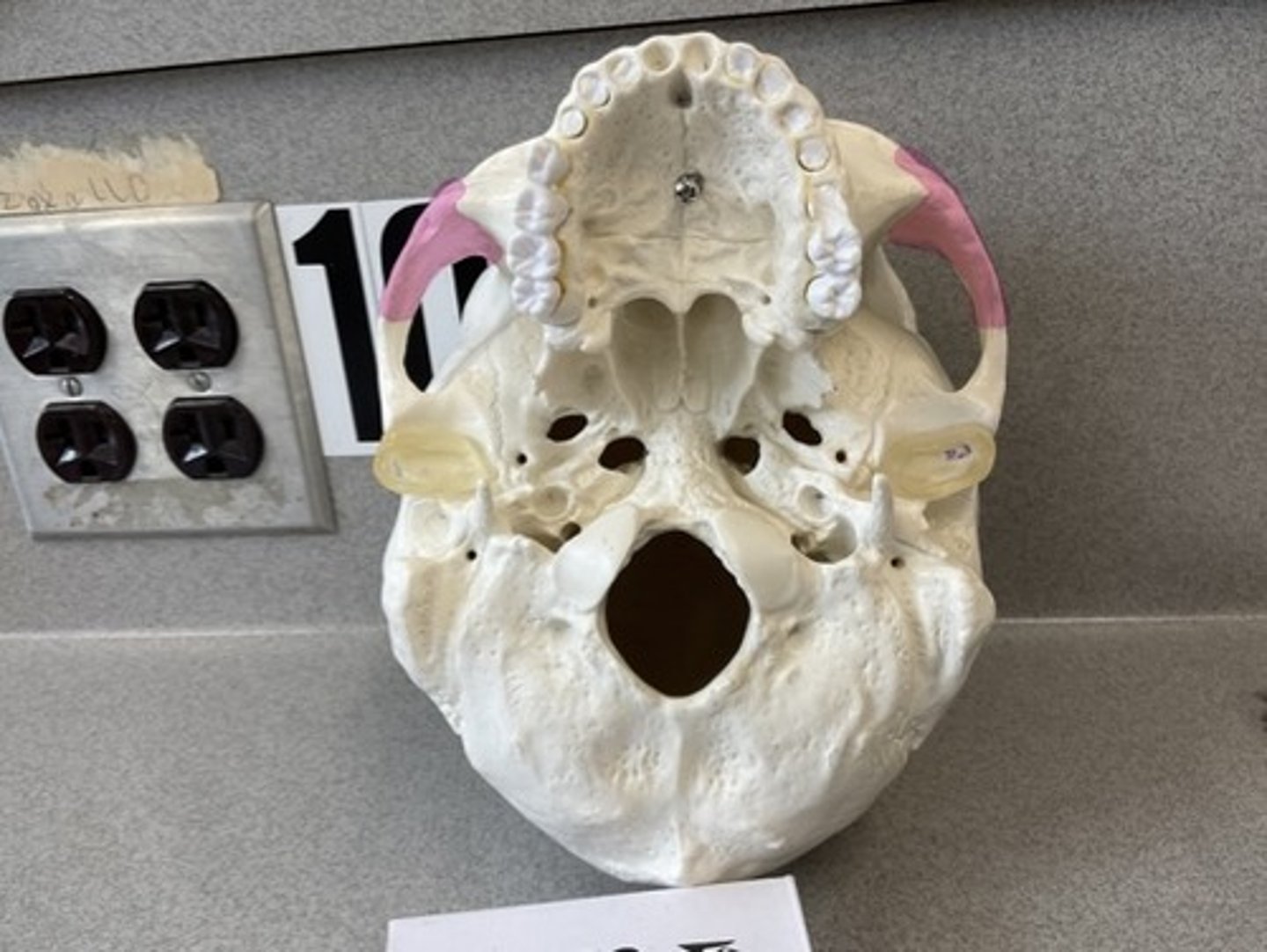 knowt flashcard image