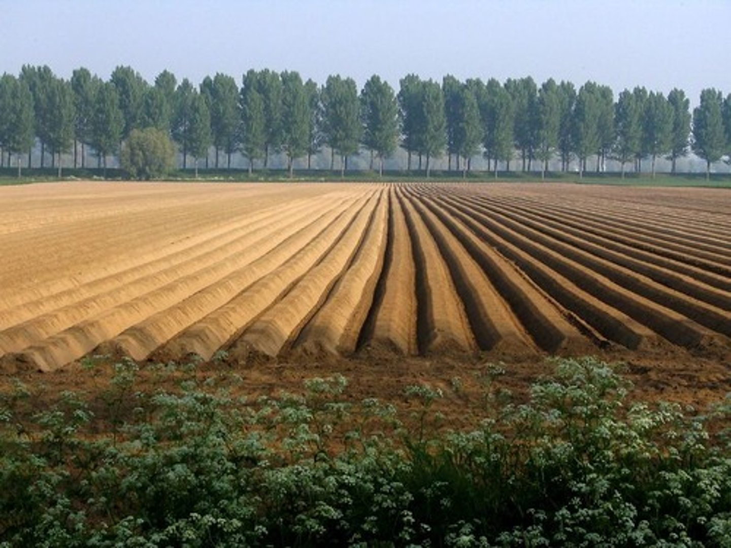<p>Policies enacted by governments that protect farmland and prevent it from being sold into other use. Uses zoning to identify areas of agricultural land use</p>