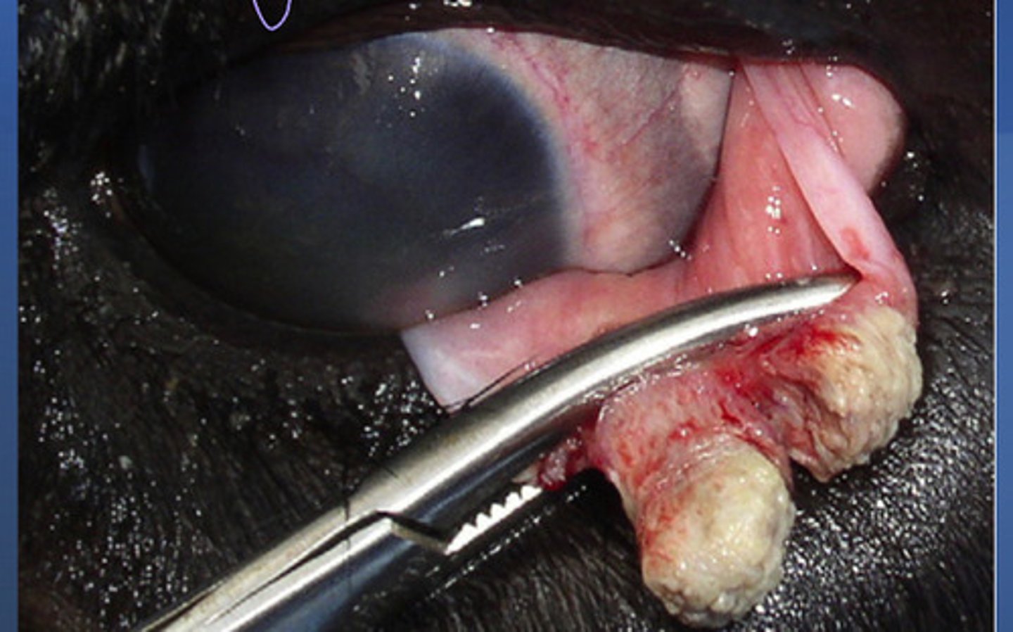 <p>What is happening here?</p>