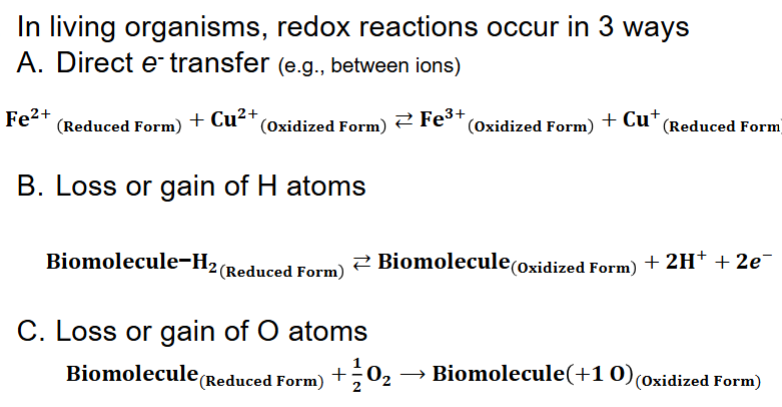 <p>1) is reversible (usually going on in background)</p><p>2) is reversible (will see most frequently)</p><p>3) is reversible (will see 2nd most freq.)</p>