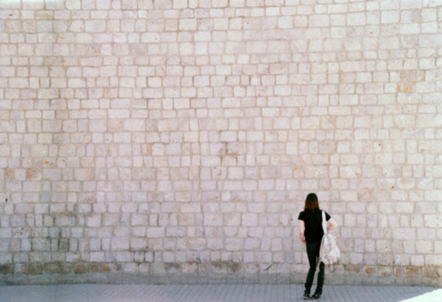 <p>the wall (interior)</p>