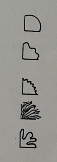 <p>top to bottom, label the <u>margin</u> of isolated colony</p>