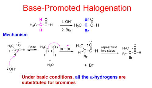 <p>all hydrogens on the α-carbon are converted to halogens</p>