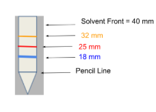 <p>*Remember to calculate RF value measure pencil line to where the solution stopped (solvent front). Then measure where the different colors are. Take solvent front calculation and divide it by the individual colors. For example: 32/40, the RF value would be 0.8.</p>