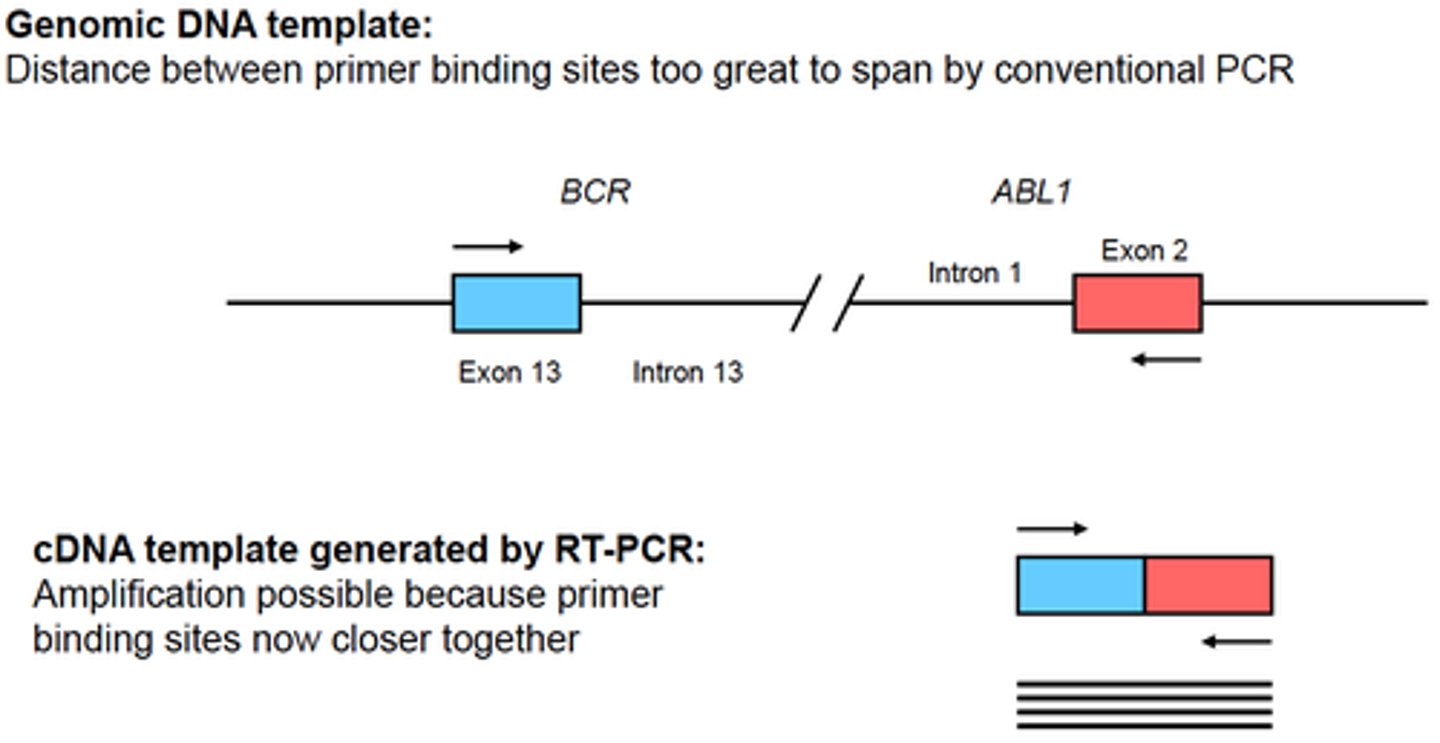 <p>- Detection of an organism with an RNA genome (eg. certain viruses)<br>- Detect of a fusion transcript generated by a translocation</p>