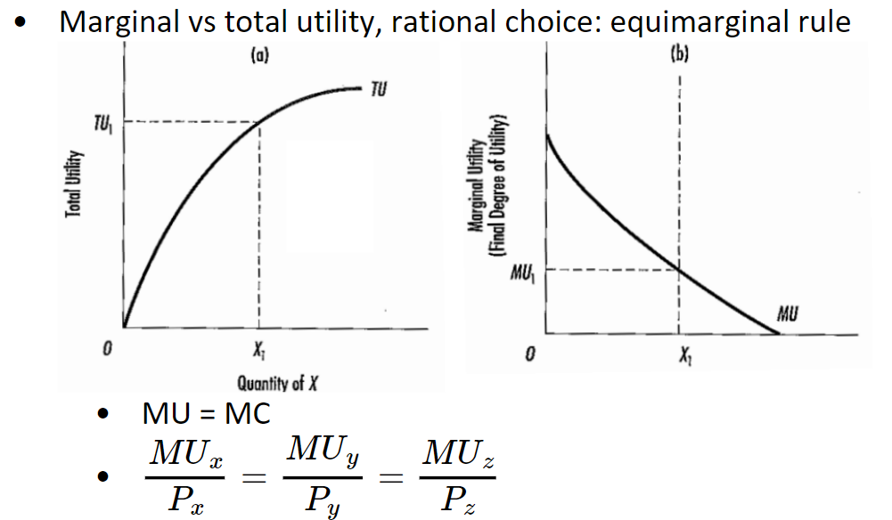 <ul><li><p><span>He solved the water diamond paradox!: He distinguishes the difference between total utility and marginal utility.</span></p></li><li><p><span>Law of decreasing MU » Price determined by marginal utility</span><span style="color: windowtext"> </span></p></li><li><p><span style="color: windowtext">Rational choices are determined by the equimarginal rule: </span><span>consumers will distribute their spending so that they get the same level of satisfaction from the last dollar spent on each item.</span></p></li><li><p><span>No general equilibrium model</span><span style="color: windowtext"> </span></p></li><li><p><span>Principle of utility maximization applies to other domains</span><span style="color: windowtext"> </span></p><ul><li><p><span>Equimarginal rule in international trade</span><span style="color: windowtext"> </span></p></li><li><p><span>Equimarginal rule in decision to work</span><span style="color: windowtext"> </span></p></li></ul></li></ul>