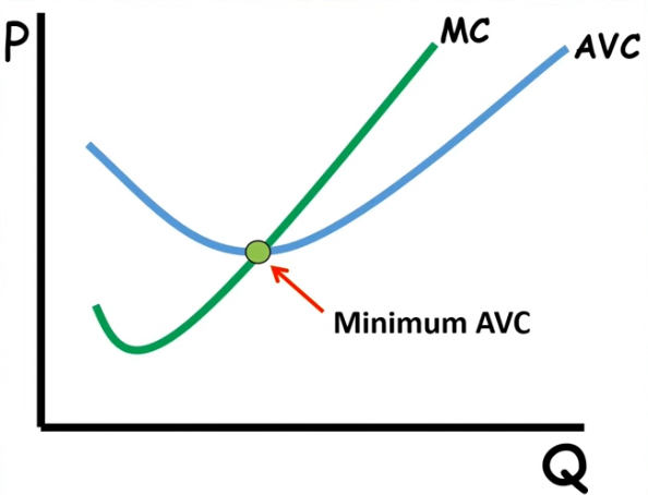 <p>AVC will intersect MC at its minimum</p><p>AVC drags down when MC drags down</p><p>AVC drags up as MC drags up</p><p></p>