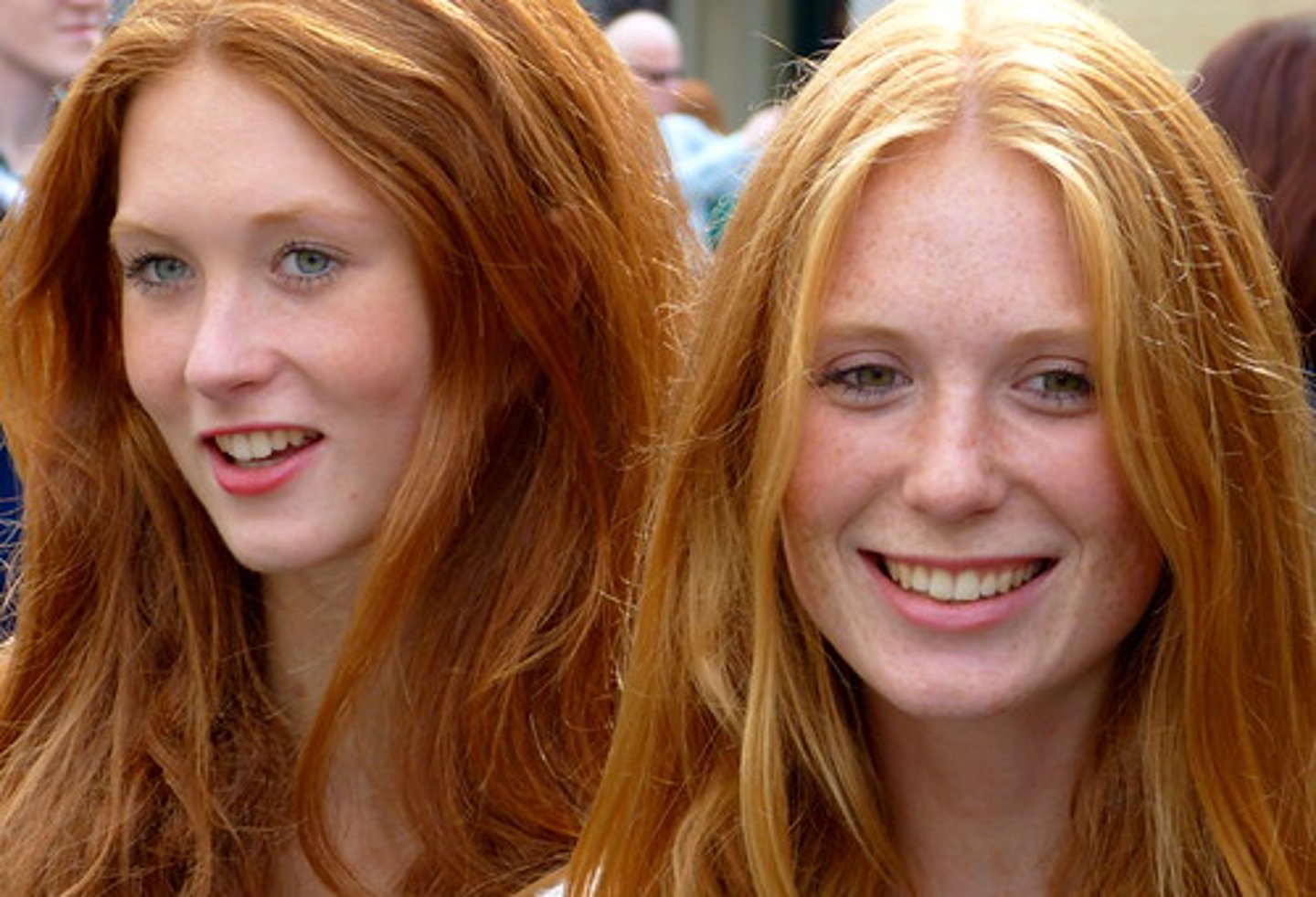 <p>the women</p>