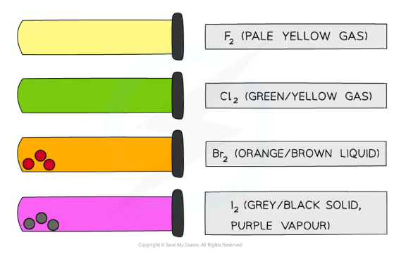 <p>Fluorine- pale yellow gas</p><p>Chlorine- pale green gas</p><p>Bromine- brown liquid/orange vapour</p><p>Iodine- grey solid/purple vapour</p>