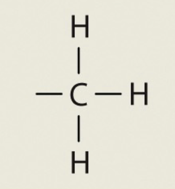 <p>CH3</p>