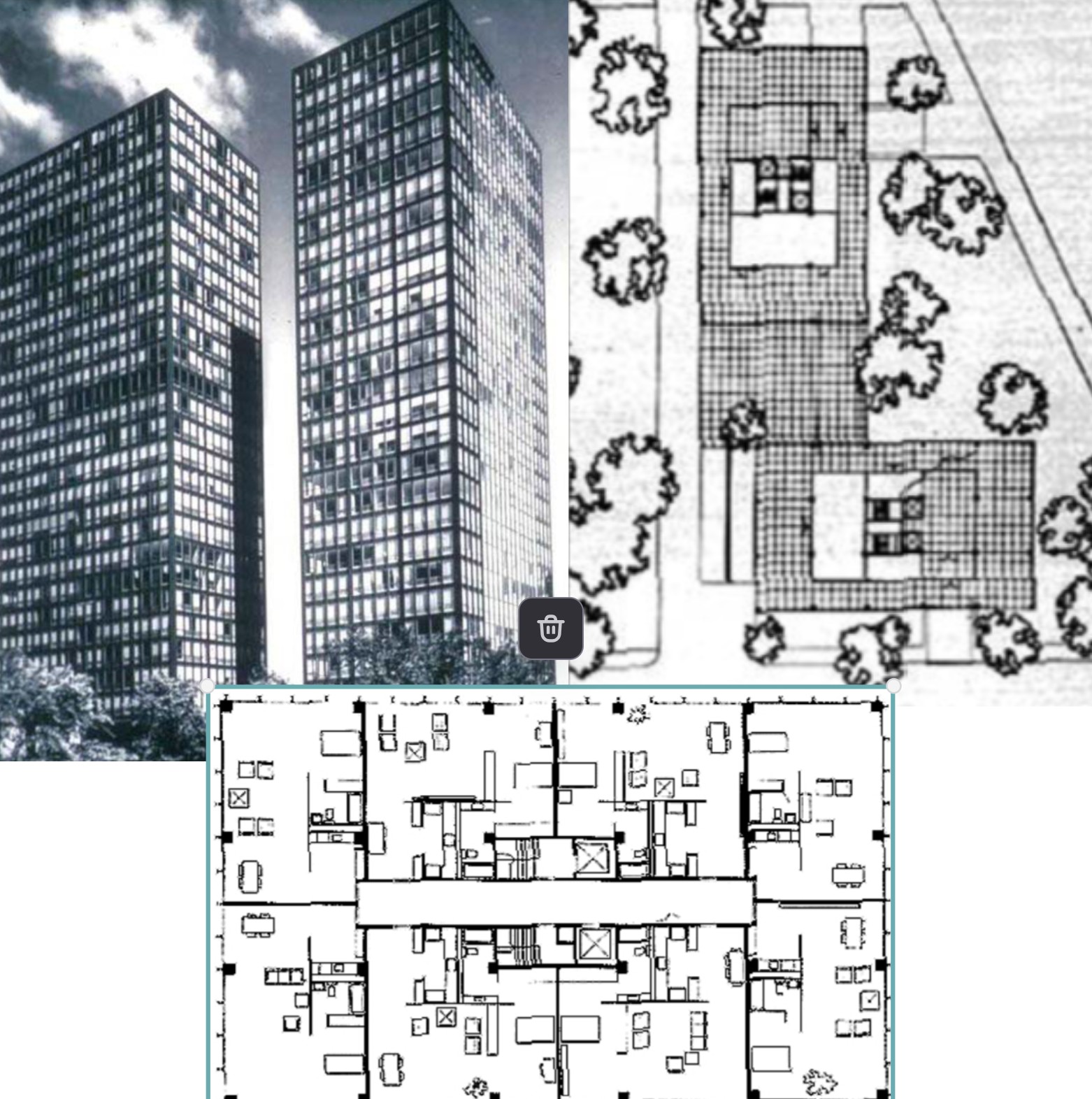term image