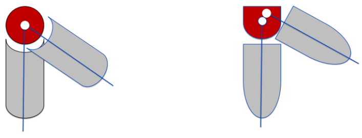 <ul><li><p>a door rotates in a fixed position around a hinge; the axis of rotation is usually in a fixed position</p></li><li><p>in the body, the axis of rotation at a joint<em> is not fixed</em>; the longitudinal segment shifts position because the axis migrates</p></li></ul><p></p>