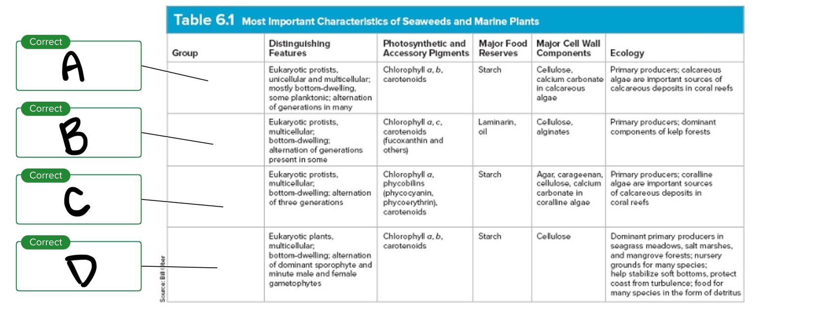 <p>Looking at the table, what is C?</p>