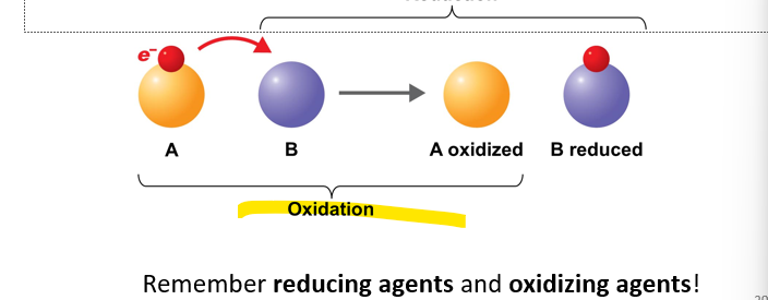 <p><span>is<strong> the removal of electrons (e<sup>-</sup>) from an atom or molecule. </strong>When something<strong> has undergone oxidation,</strong> it means that it has<strong> lost electrons</strong>.</span></p><p>-The removal/lost of electron</p><p>-Oxidizing agents - lost of electron</p>
