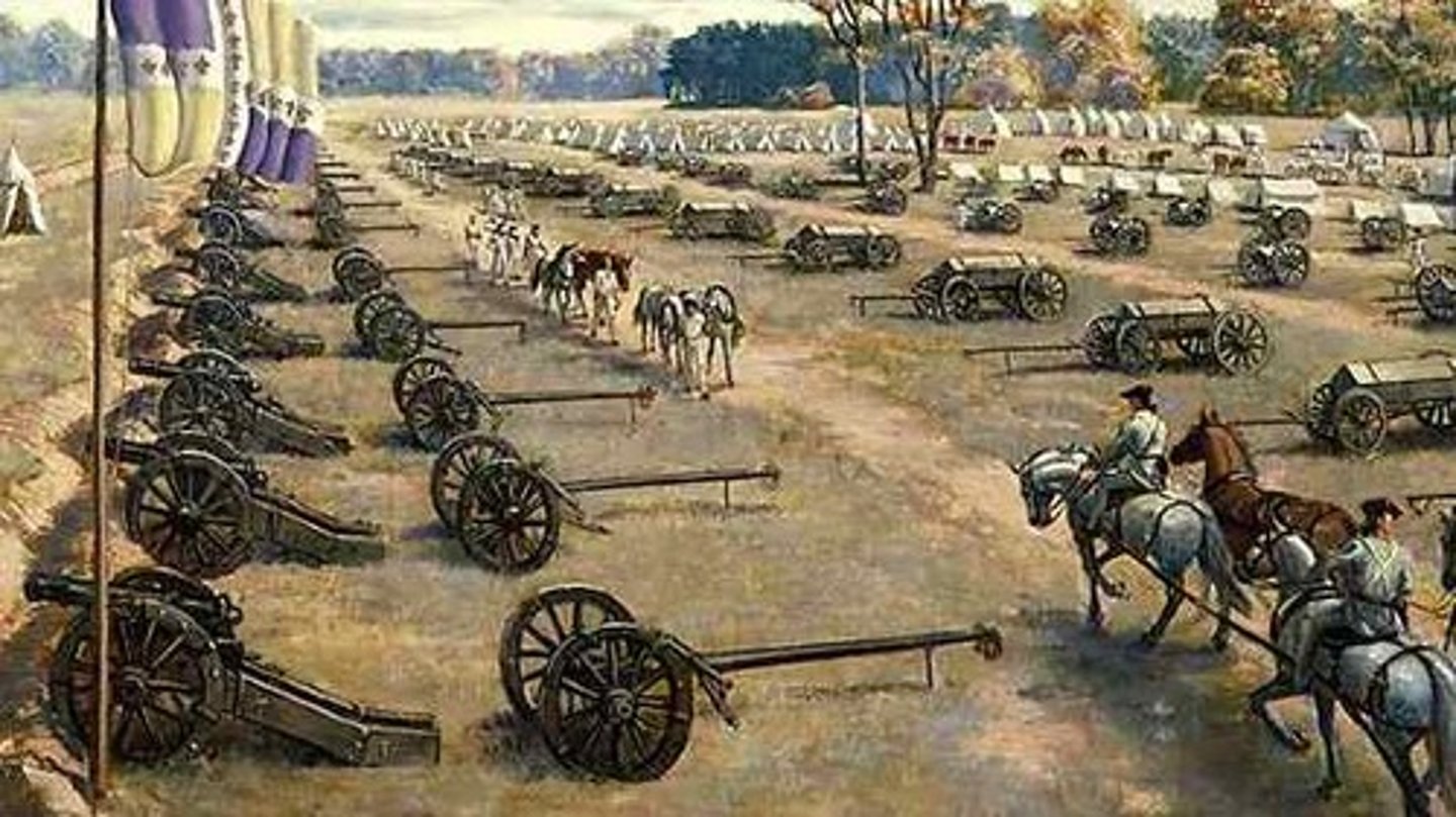 <p>It is often asked did a military revolution take place between 1560 and 1660. Some would say no because the changes developed over a 100 years. Many other would say yes because the changes were so dramatic and drastically changed the way armies fought and maneuvered on the battlefield. Examples - Mobile cannons, mass conscription for larger armies, Brigade system for better movement and command control for armies on the battlefield are just a couple of examples.</p>