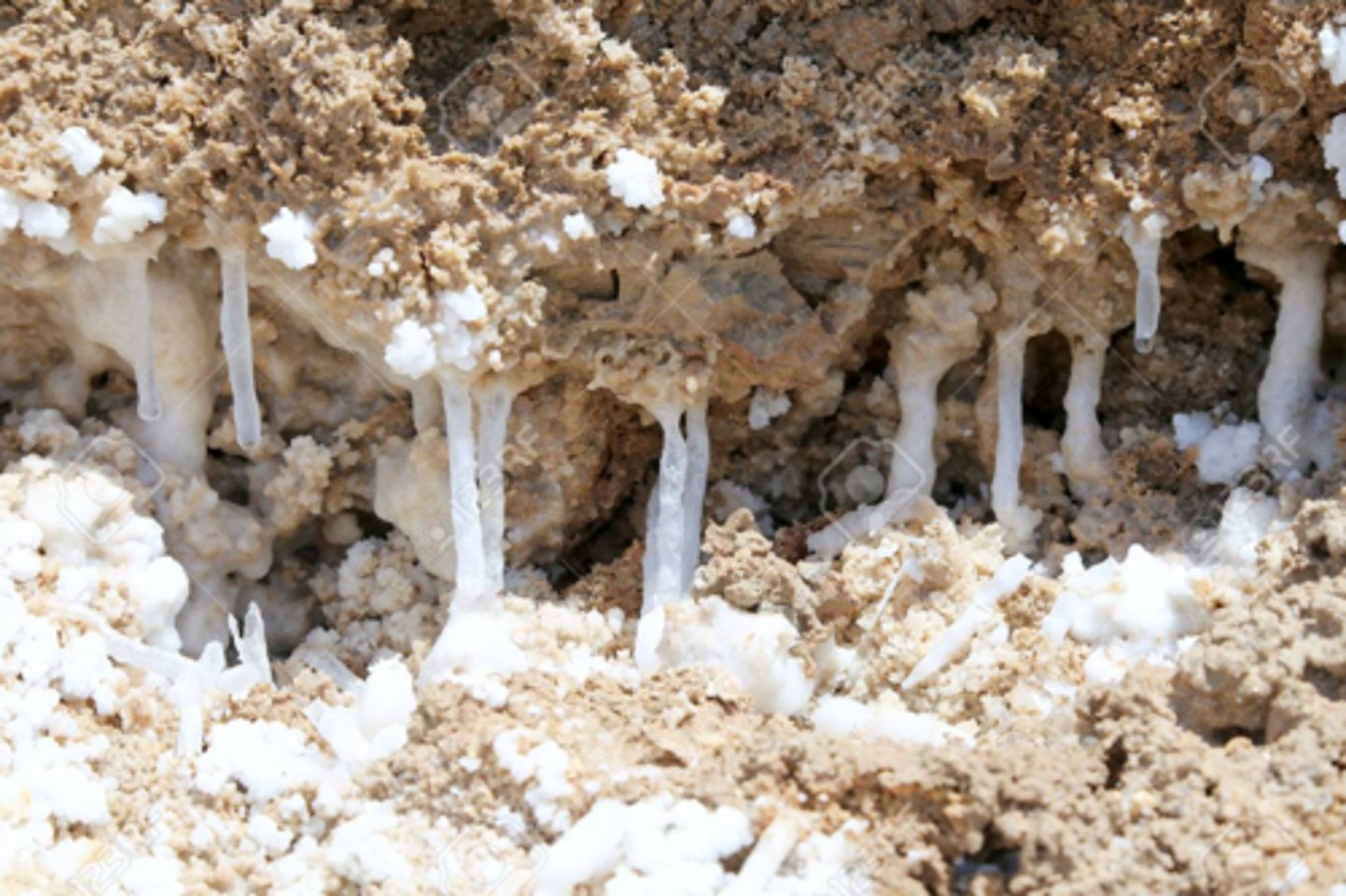 <p>Salt water evaporating forming salt crystals which can grow over time and exert a pressure on the rocks (can also corrode some rocks)</p>