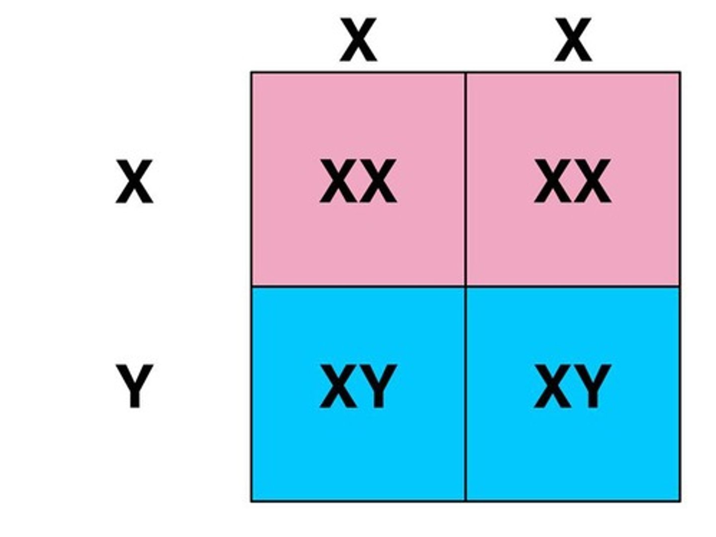 <p>Given genotype of parents, predict percentage of genotype and phenotype of offspring (assuming total dominance).</p>