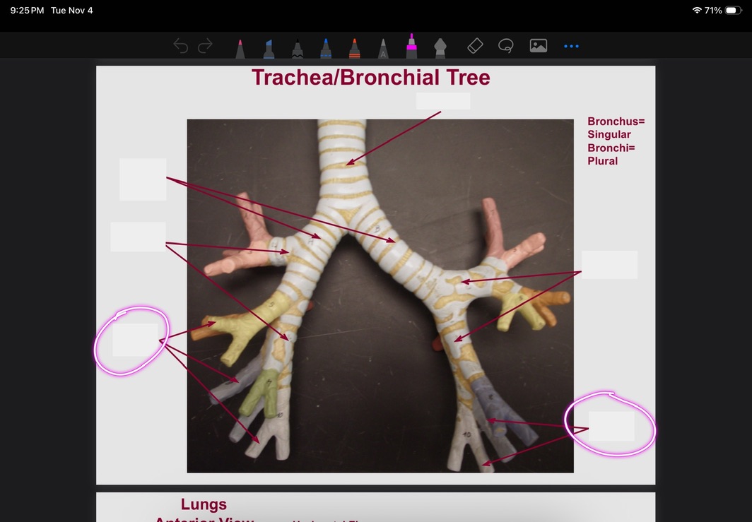 <p>What is this?</p>