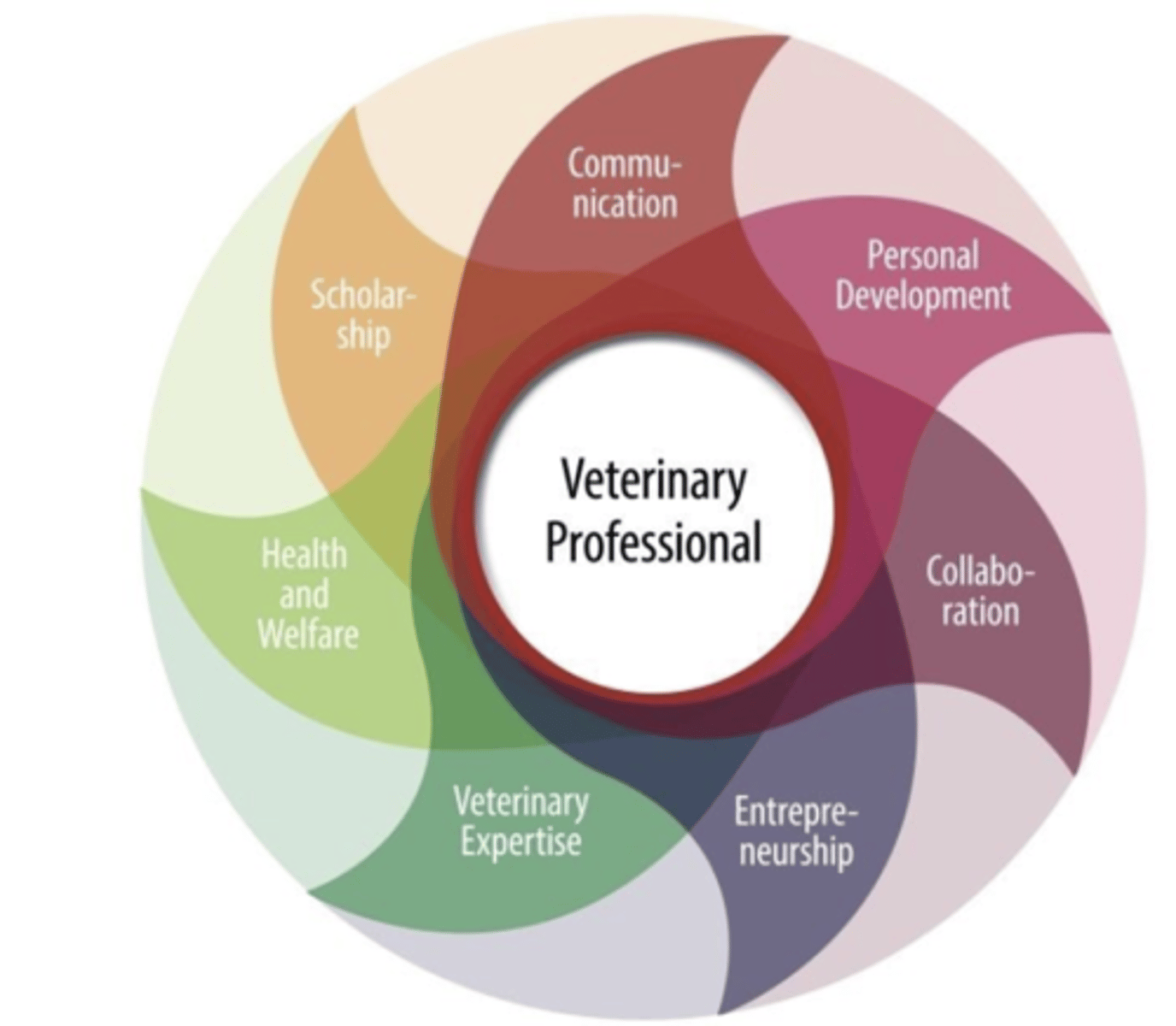 <p>sufficiency of knowledge and skills that enable someone to act in a wide variety of situations</p><p>individual abilities or characteristics that are key to effectiveness in work</p>