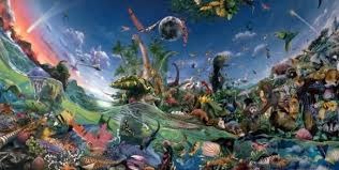 <p>a period of rapid growth in life's diversity from 540 to 485 million years ago</p>