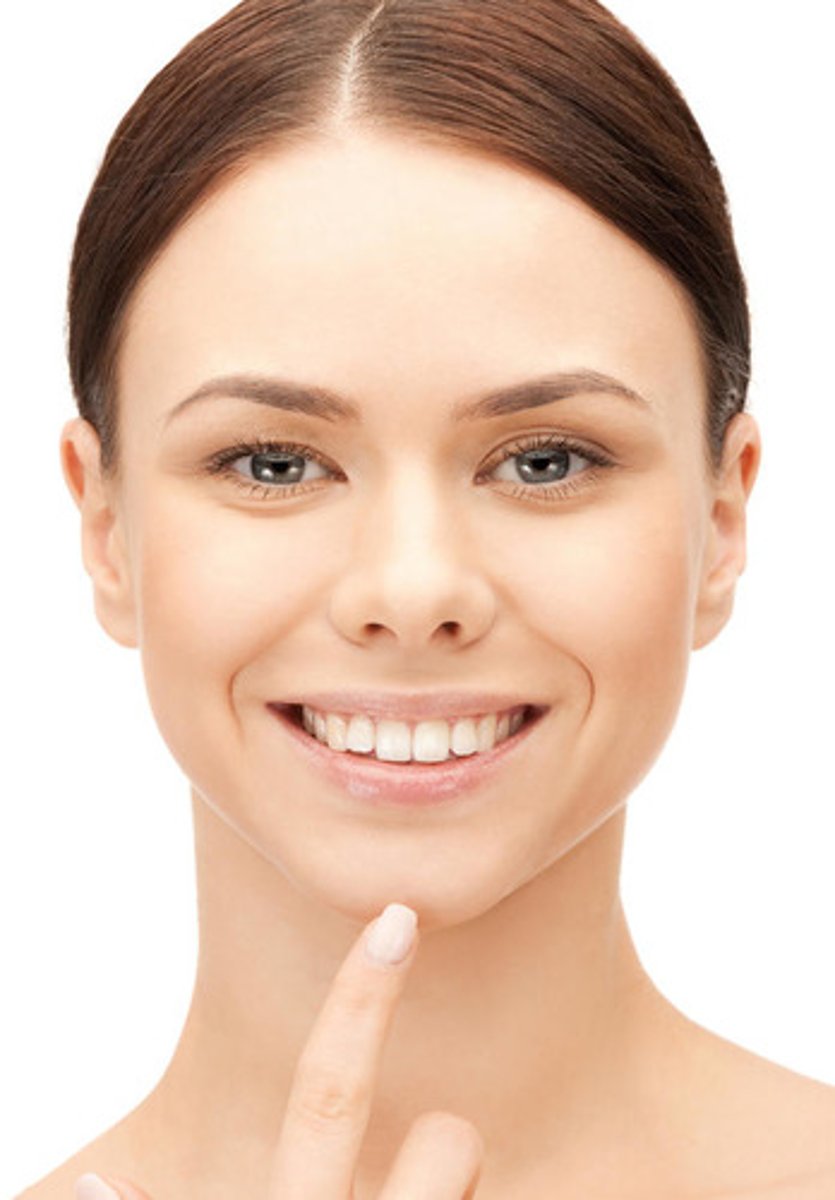 <p>Mental region</p>