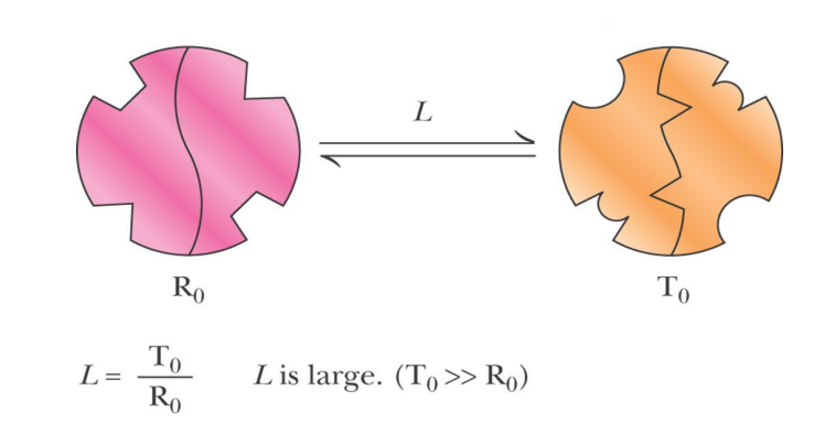 <p>T state predominates in the absence of substrate S</p><p>S binds much tighter to R than to T</p><p>In the absence of ligand, the two states are called R0 and T0</p><p>The equilibrium constant (L) for the T0/R0 equilibrium is large, that is T0 predominates</p>