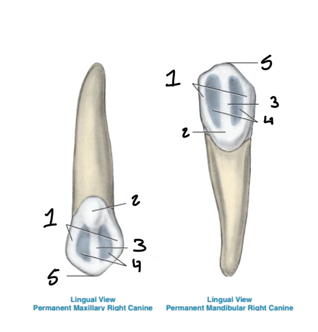 <p>1</p>