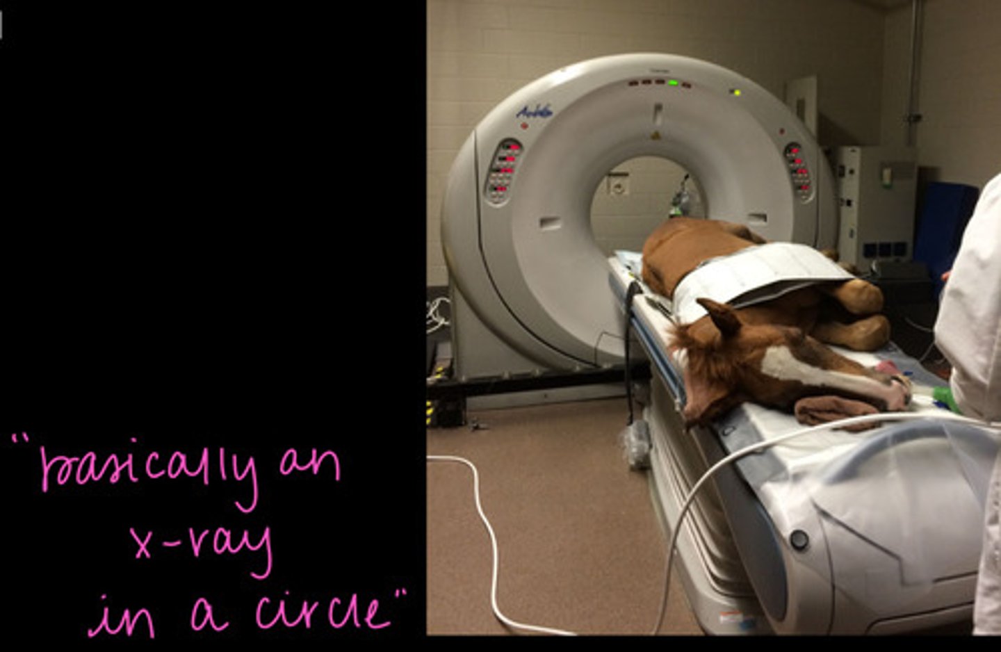 <p>Which imaging modality is being described?</p><p>- detailed evaluation of bone</p><p>- limited soft tissue detail</p><p>- requires injection of contrast</p><p>- fracture repair planning</p><p>- image navicular apparatus</p><p>- image the head</p><p>- x-ray tube in a circle</p><p>- intensity of x-ray allows for differentiation of structures</p><p>- "slice" image</p><p>- software can reconstruct slices into 3D image</p>
