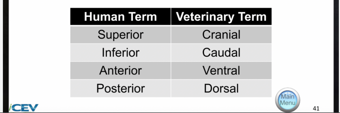 <ul><li><p><span>Are common in most directional terms and have the same meaning, however there are a few differences in directions and planes due to anatomy</span></p></li></ul><p></p>