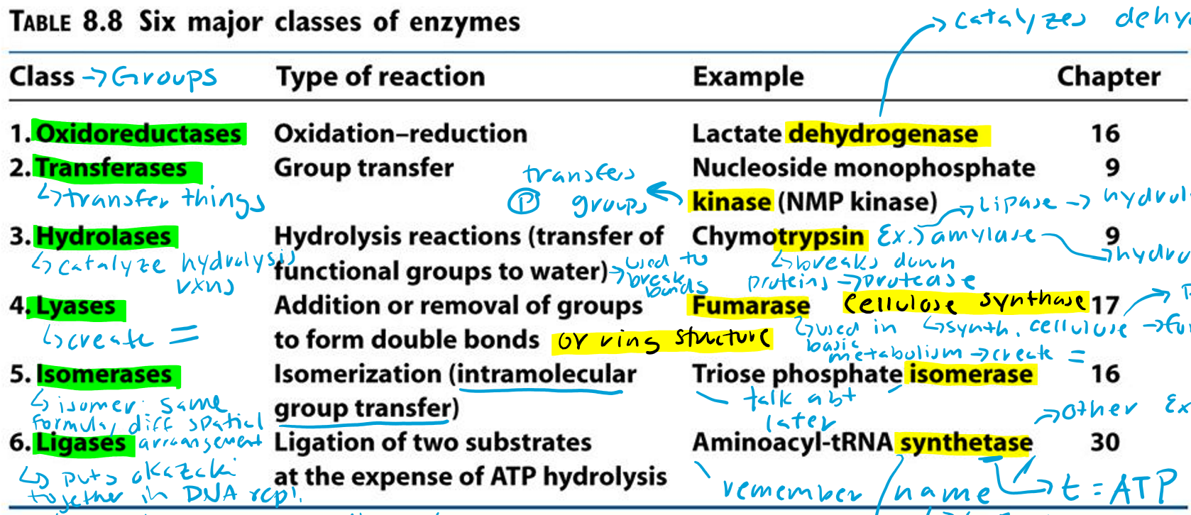 <p><span style="font-family: Aptos, sans-serif">Addition or removal of groups to form double bonds or ring structures</span></p><p><span style="font-family: Aptos, sans-serif">Example: Fumarase and Cellulose synthase</span></p>