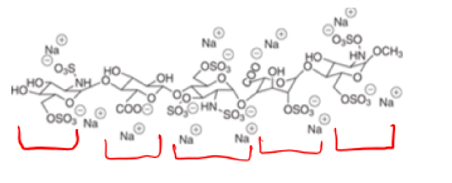 <p>- synthetic pentasaccharide</p><p>Whereas, Heparin has a HMW polysaccharide structure (5-30 kDa); Enoxaparin and Dalteparin have LMW (4-6 kDa) polysaccharide structures.</p>