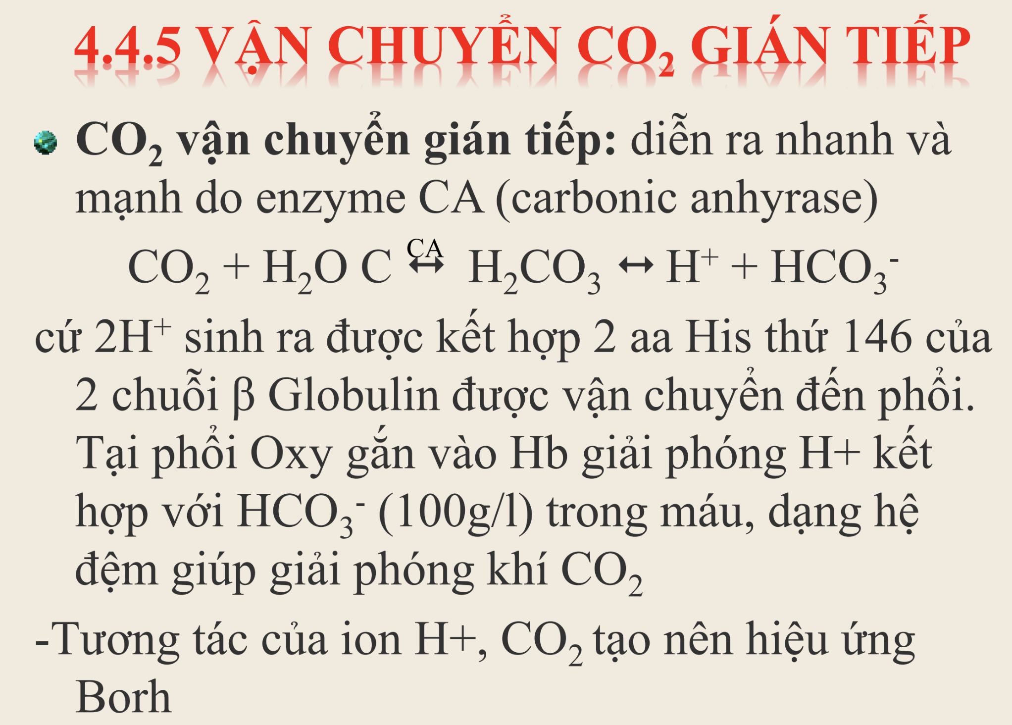 <p><strong>Trong các tình huống sau, điều nào dẫn đến giảm ion H⁺ trong máu (toan máu hô hấp)?</strong></p><p>A. Thở sâu và kéo dài khi gắng sức</p><p>B. Thở nhanh và nông </p><p>C. Thở sâu và chậm </p><p>D. Truyền dịch kiềm quá mức</p>