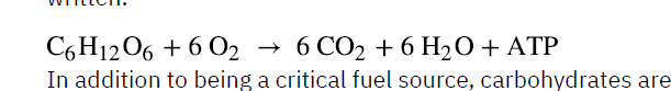 <p>composed of ribose sugar, an adenine base, and 3 phosphate grps. ATP releases free energy when its phosphate bonds are broken n supplies r ready energy to the cell. More ATP produced in presence of O2. </p>