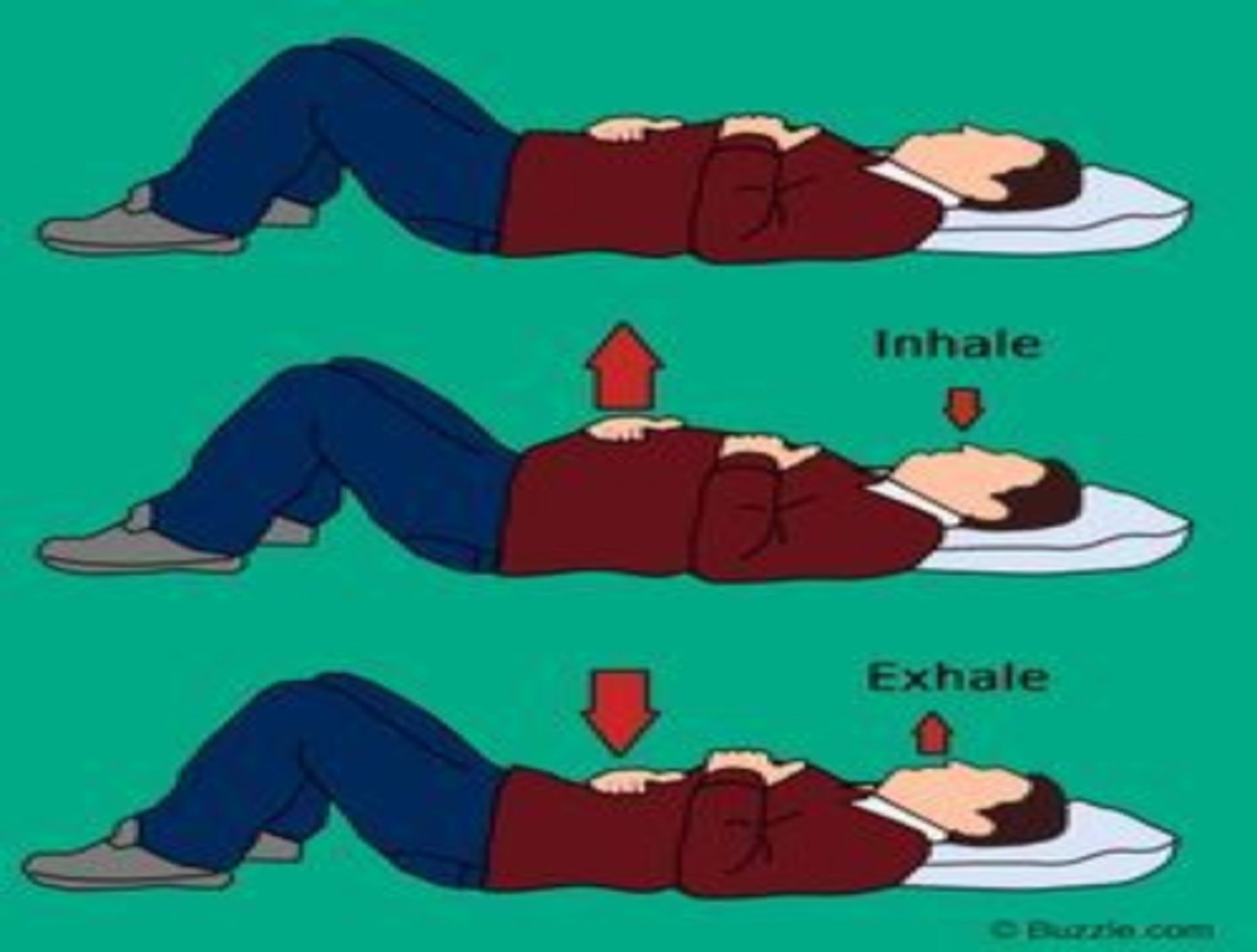 <p>-breathing pattern which calls for increased use of diaphragm to improve chest volume</p><p>-breathing with the use of the diaphragm to achieve maximum inhalation and slow respiratory rate</p><p>1) have pt lie in supine</p><p>2) place a small book on base of sternum</p><p>3) instruct to inhale slowly and make the book rise</p><p>4) instruct to exhale through pursed lips and make the book come down again</p>