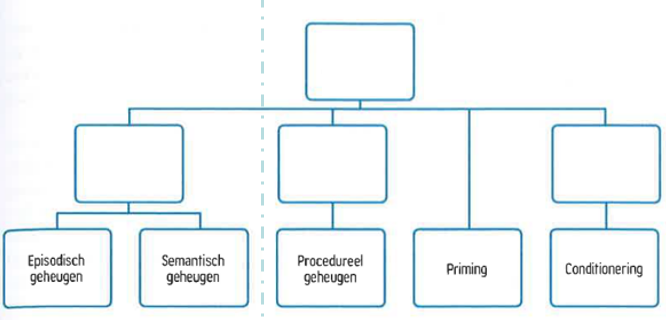 <p>Welke hersengebieden ontbreken &amp; spelen m.a.w. een belangrijke rol bij deze deelaspecten van het geheugen?</p>