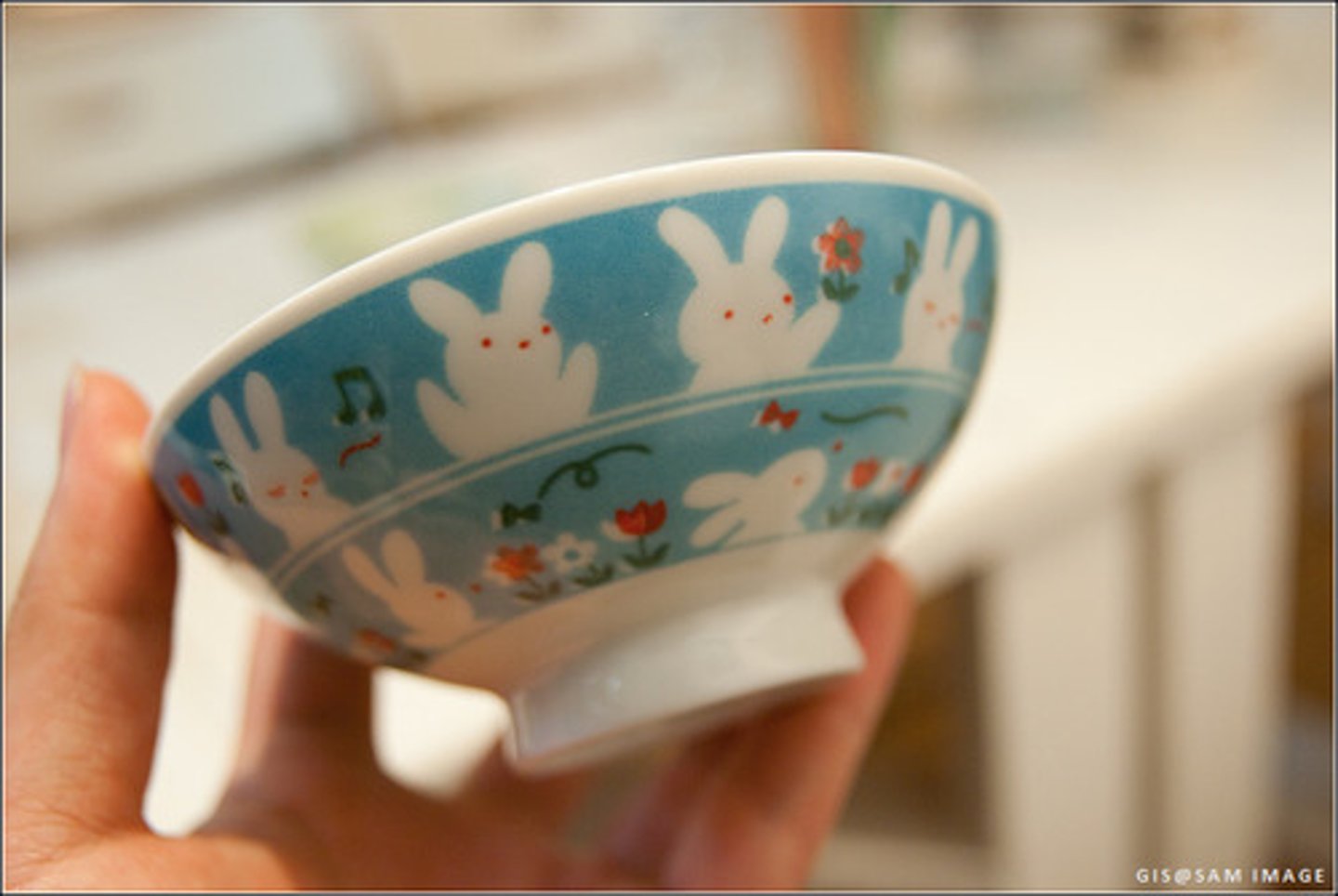 <p>bát, chén ( lượng từ của đồ ăn ), (n) bát ăn cơm ( lượng từ là 个)</p>