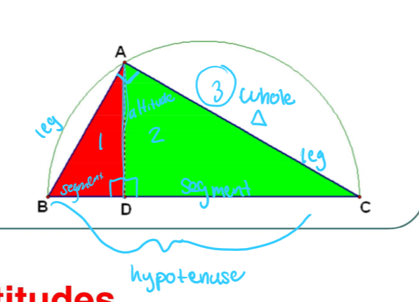 segment drawn from a vertex that is perpendicular to the opp. of a triangle