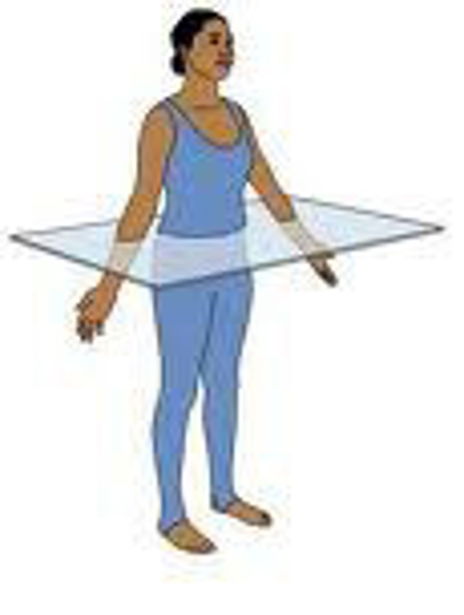 <p>passes across the body or an organ perpendicular to its long axis; it divides the body or organ into superior (upper) and inferior (lower) portions</p>