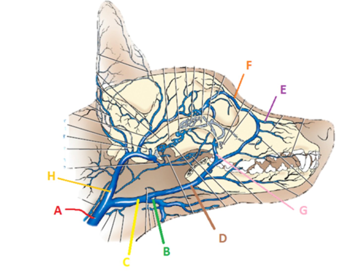 <p>What is E</p>