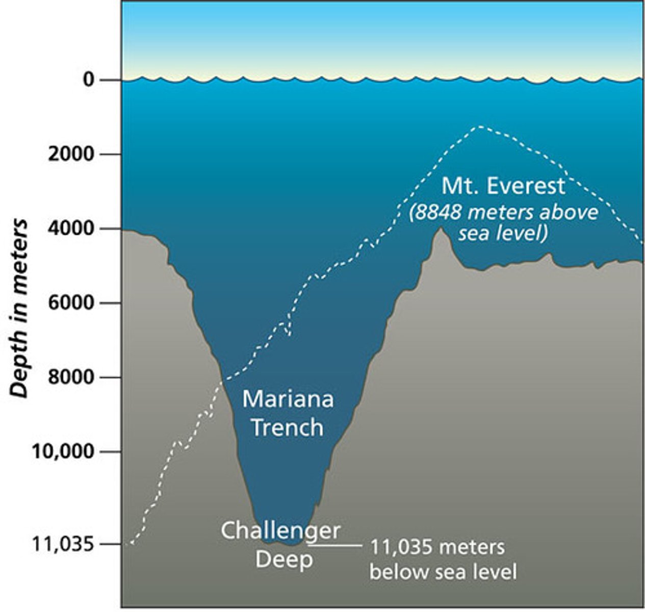<p>the distance from the bottom of the ocean to the surface of the ocean; how deep the ocean is</p>
