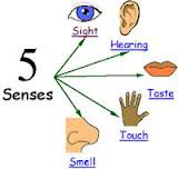 basic experience of the stimulation of the body's senses
