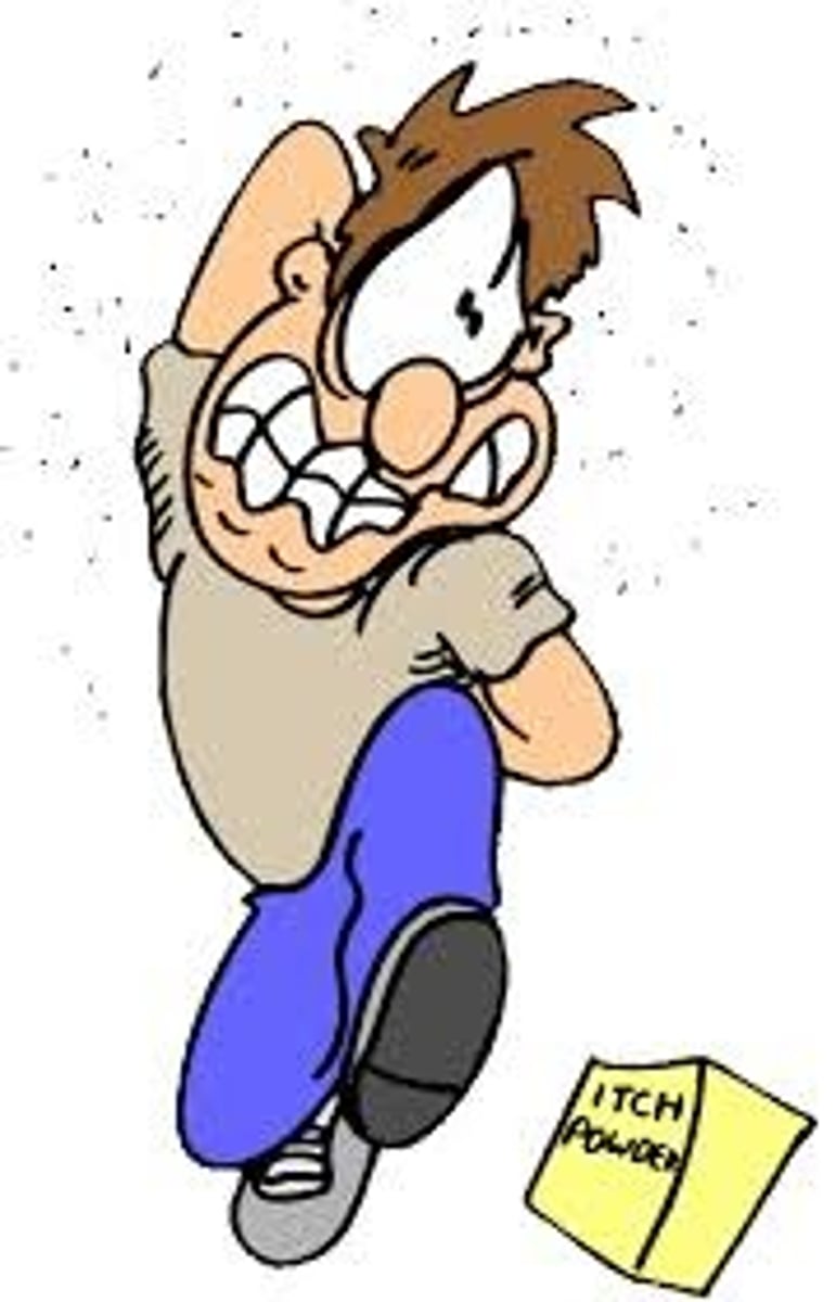 <p>/skwɜːrm/ (v)</p><p>to feel very embarrassed or ashamed</p>