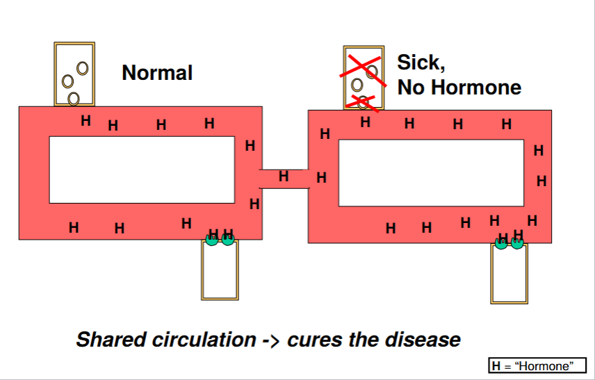 Connect the circulatory systems of a normal and diseased individual.