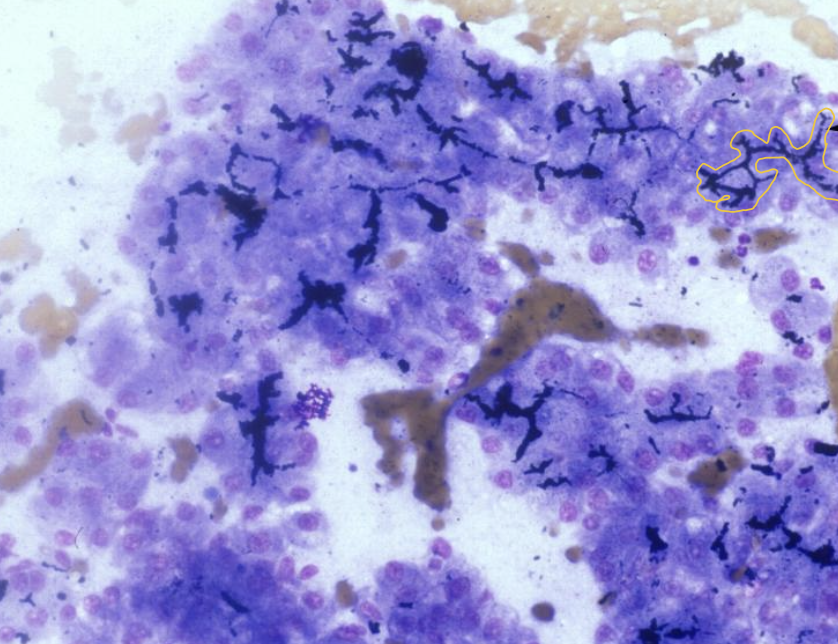 <p>what does the image show?</p>